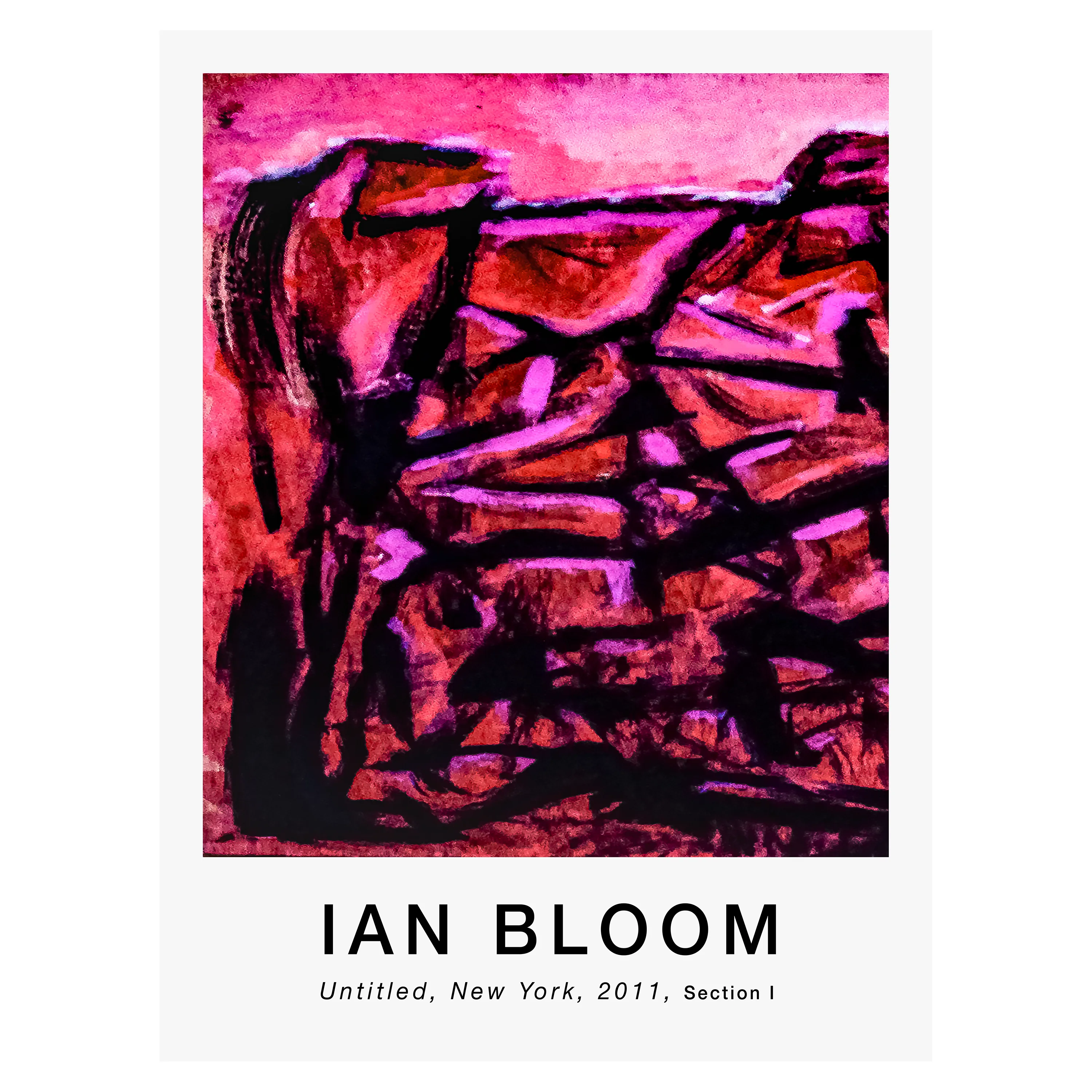 Untitled, New York, 2011, Section I poster by Ian Bloom