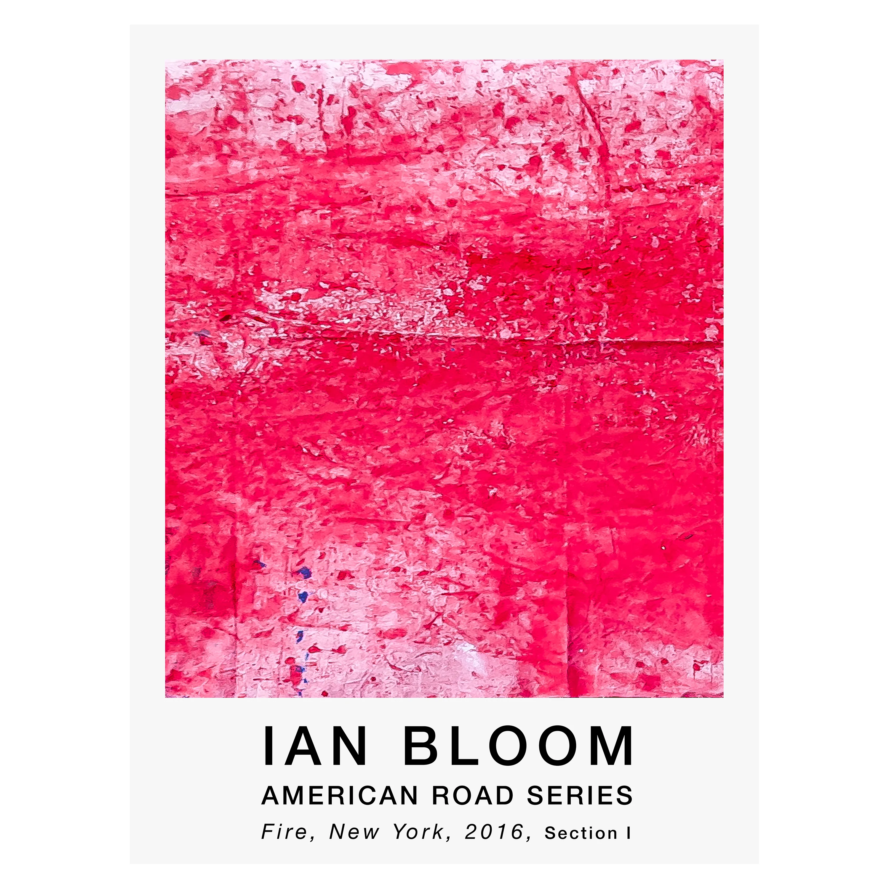 Fire, New York, 2016, Section I poster by Ian Bloom