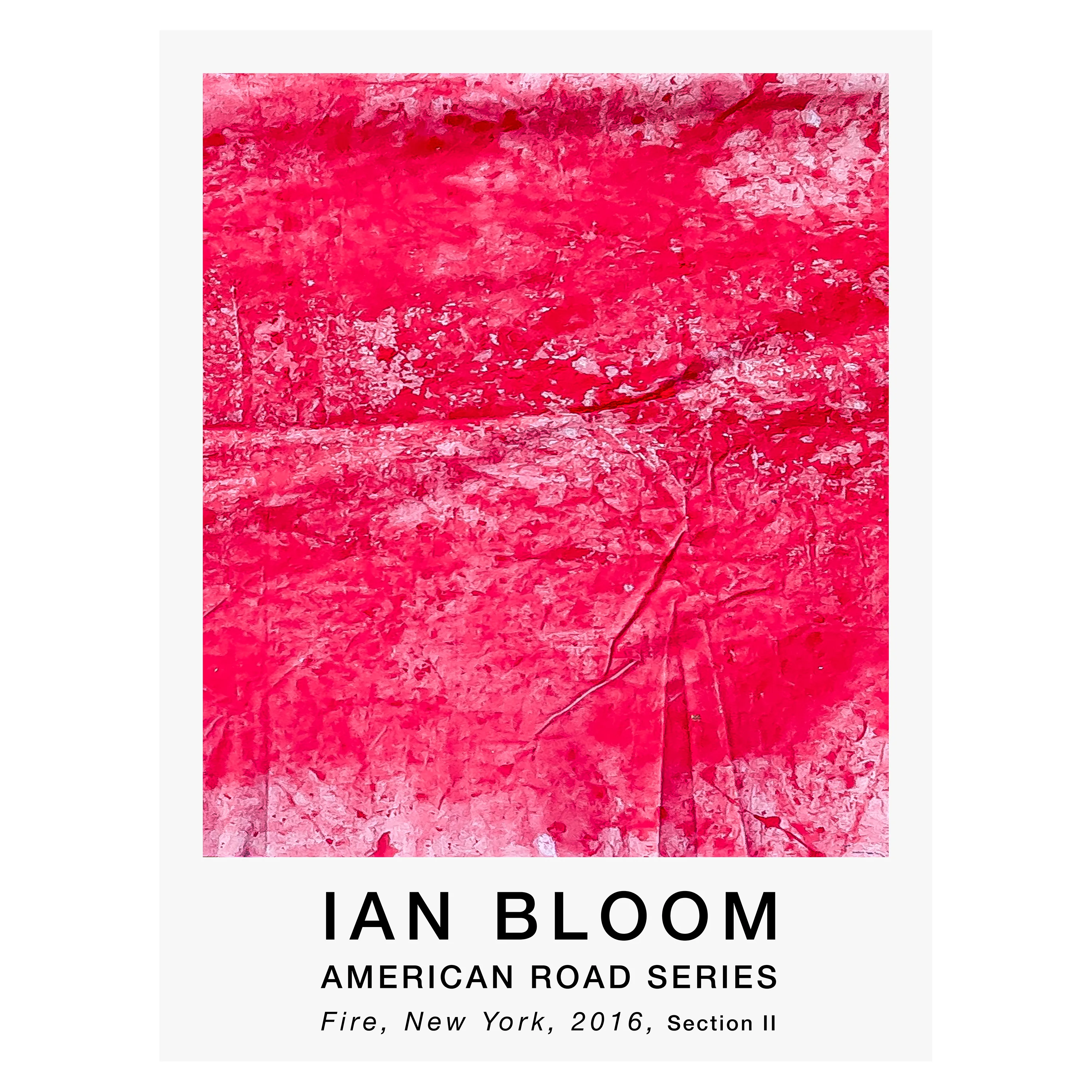 Fire, New York, 2016, Section II poster by Ian Bloom