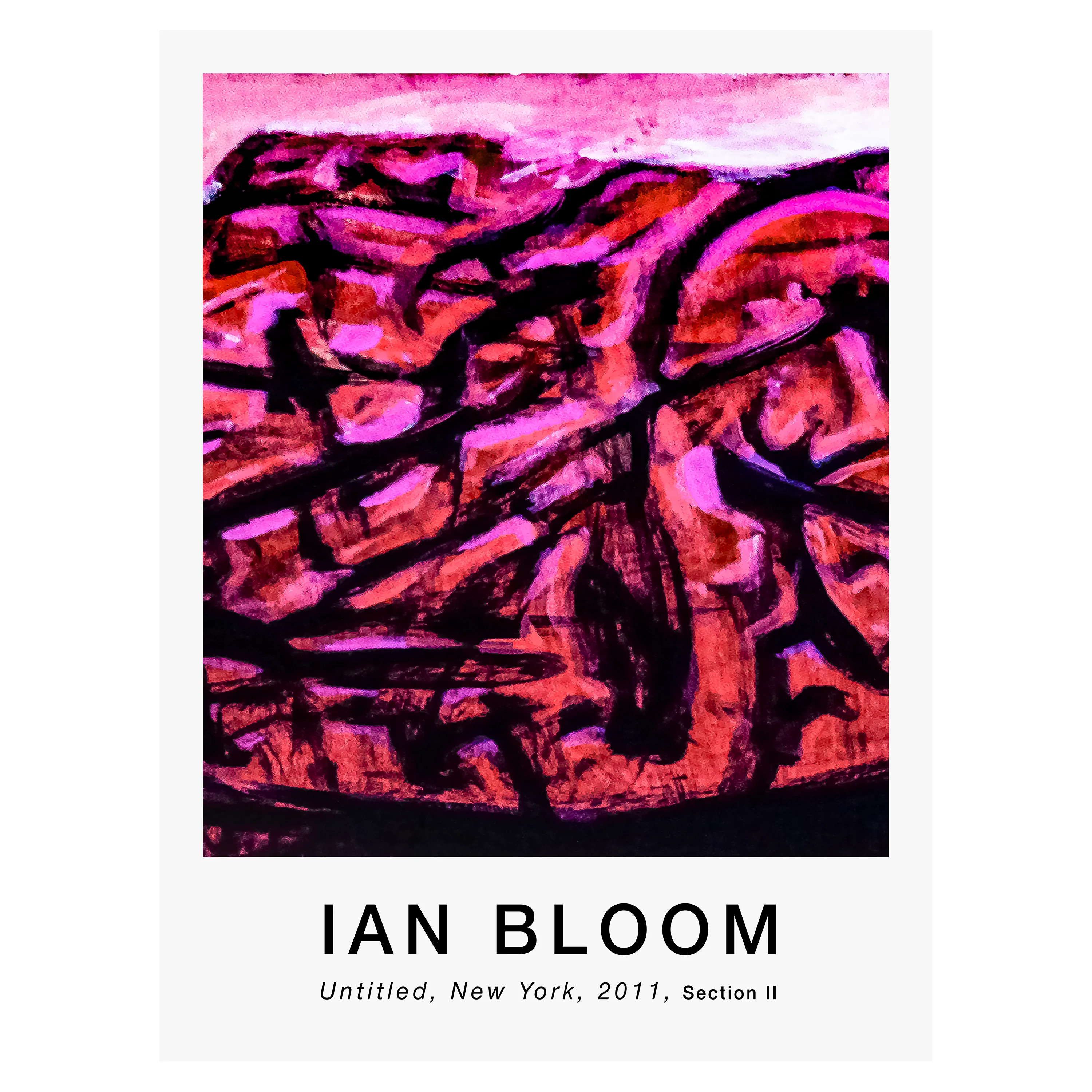 Untitled, New York, 2011, Section II poster by Ian Bloom