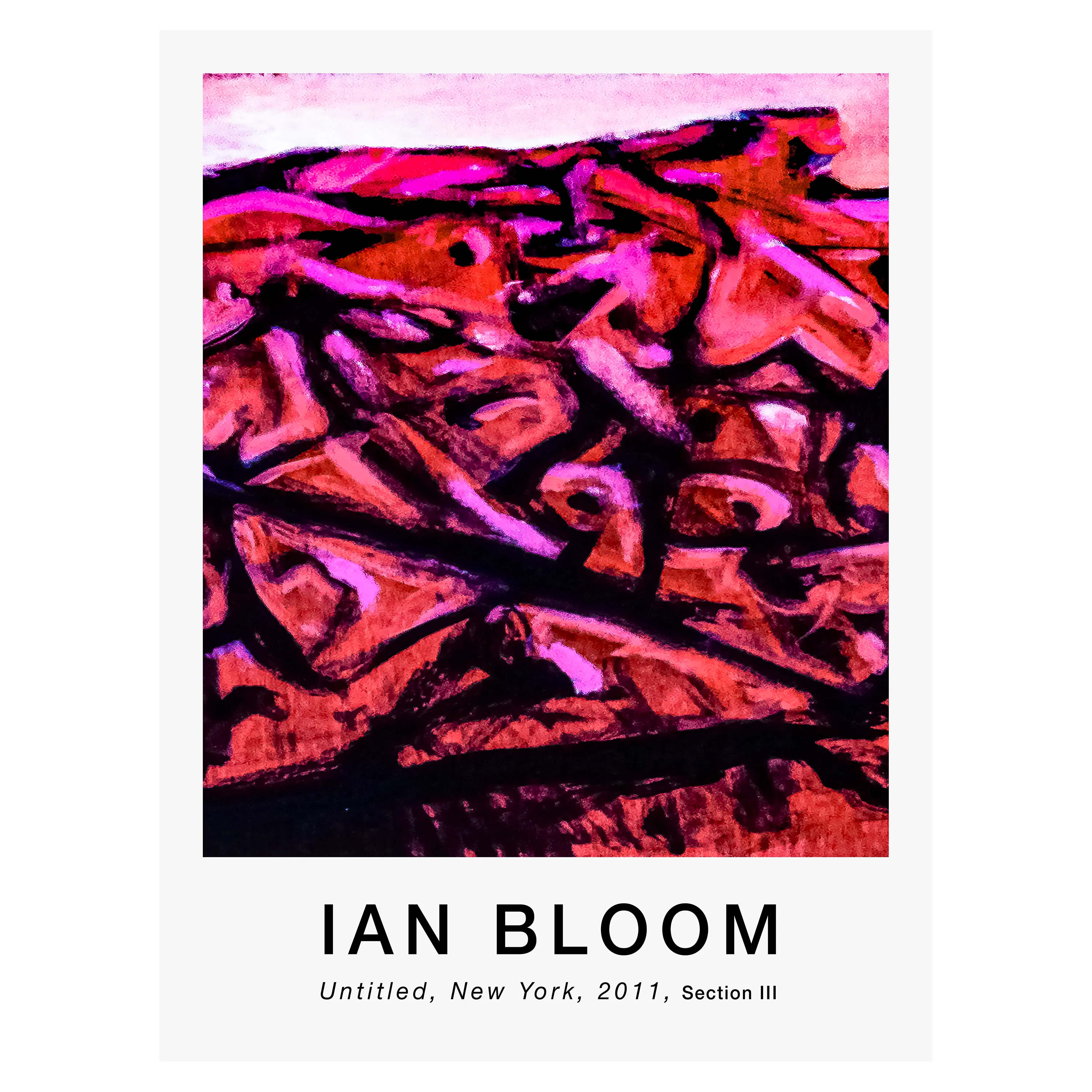 Untitled, New York, 2011, Section III poster by Ian Bloom