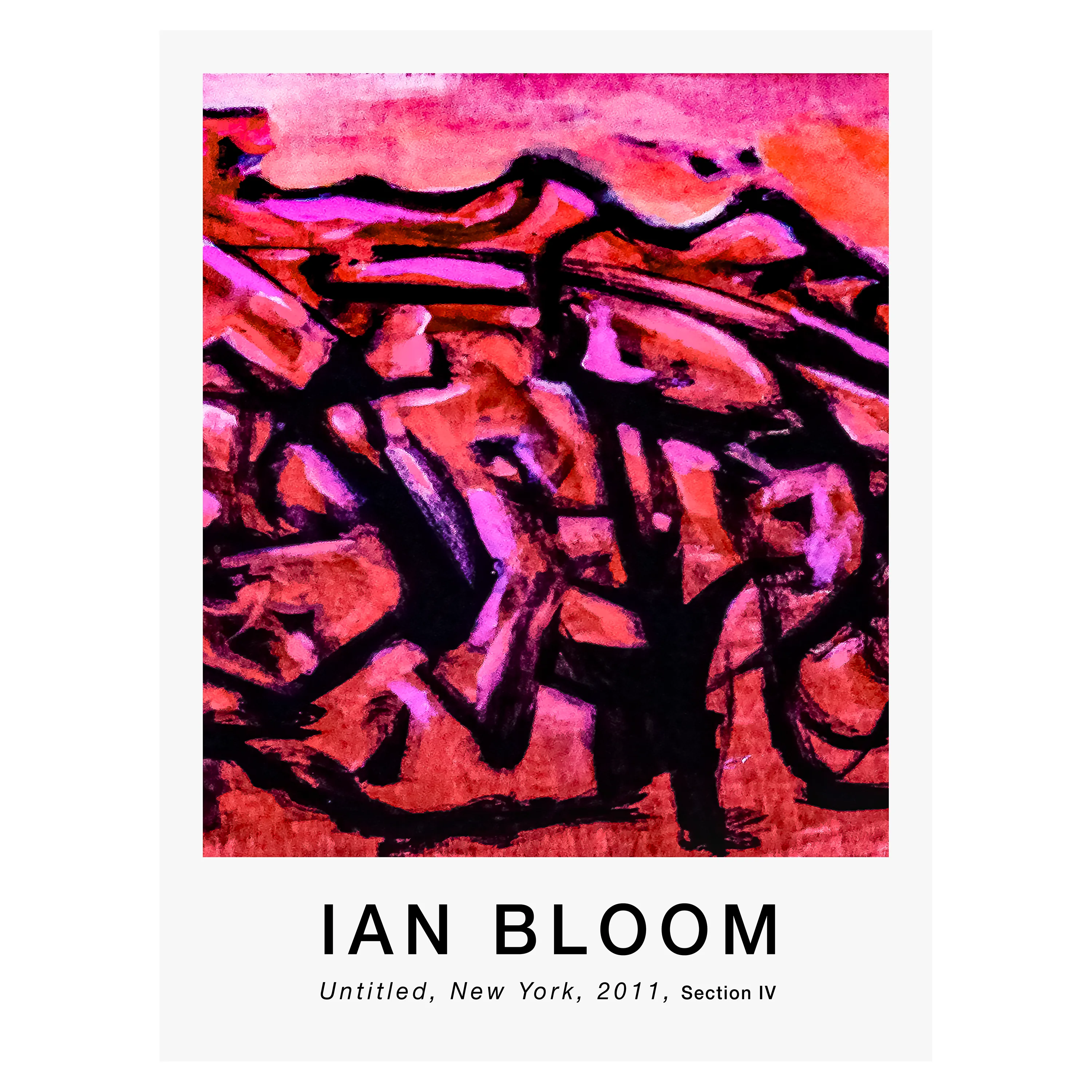 Untitled, New York, 2011, Section IV poster by Ian Bloom