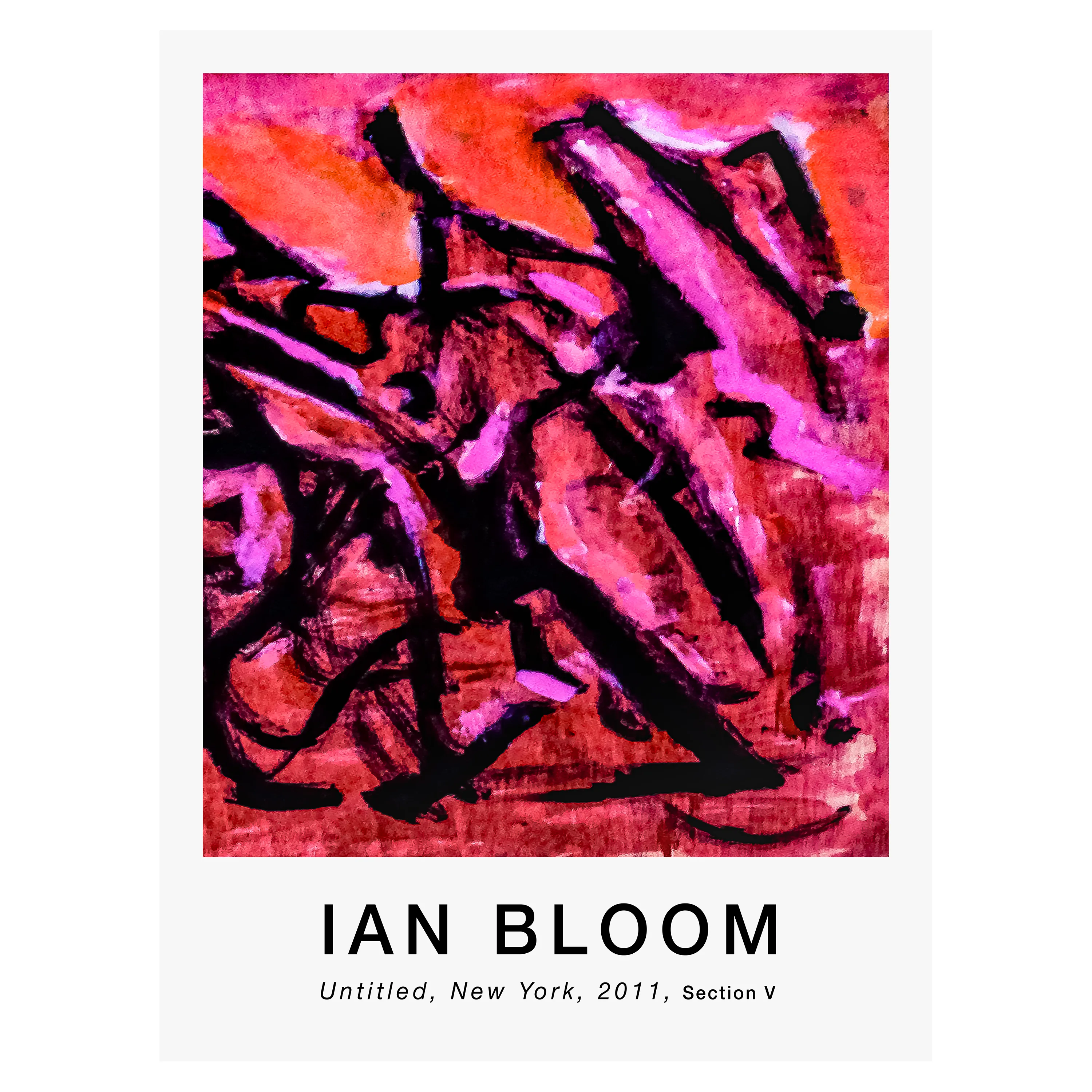 Untitled, New York, 2011, Section V poster by Ian Bloom