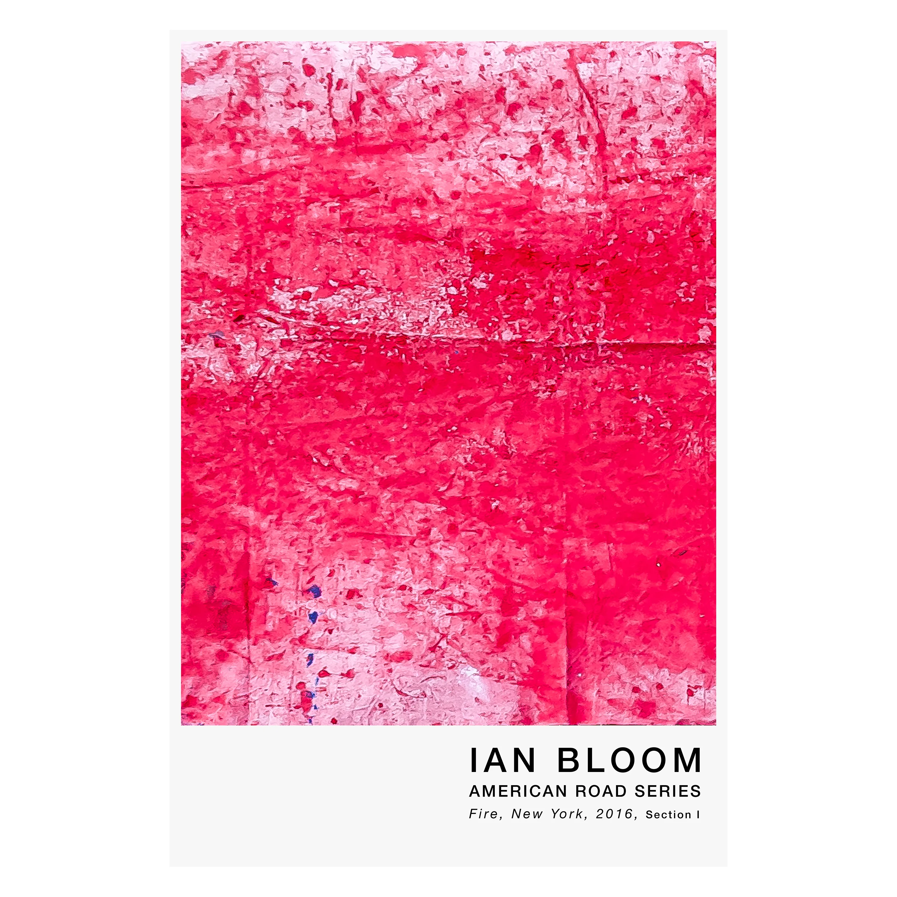 Fire, New York, 2016, Section I poster by Ian Bloom