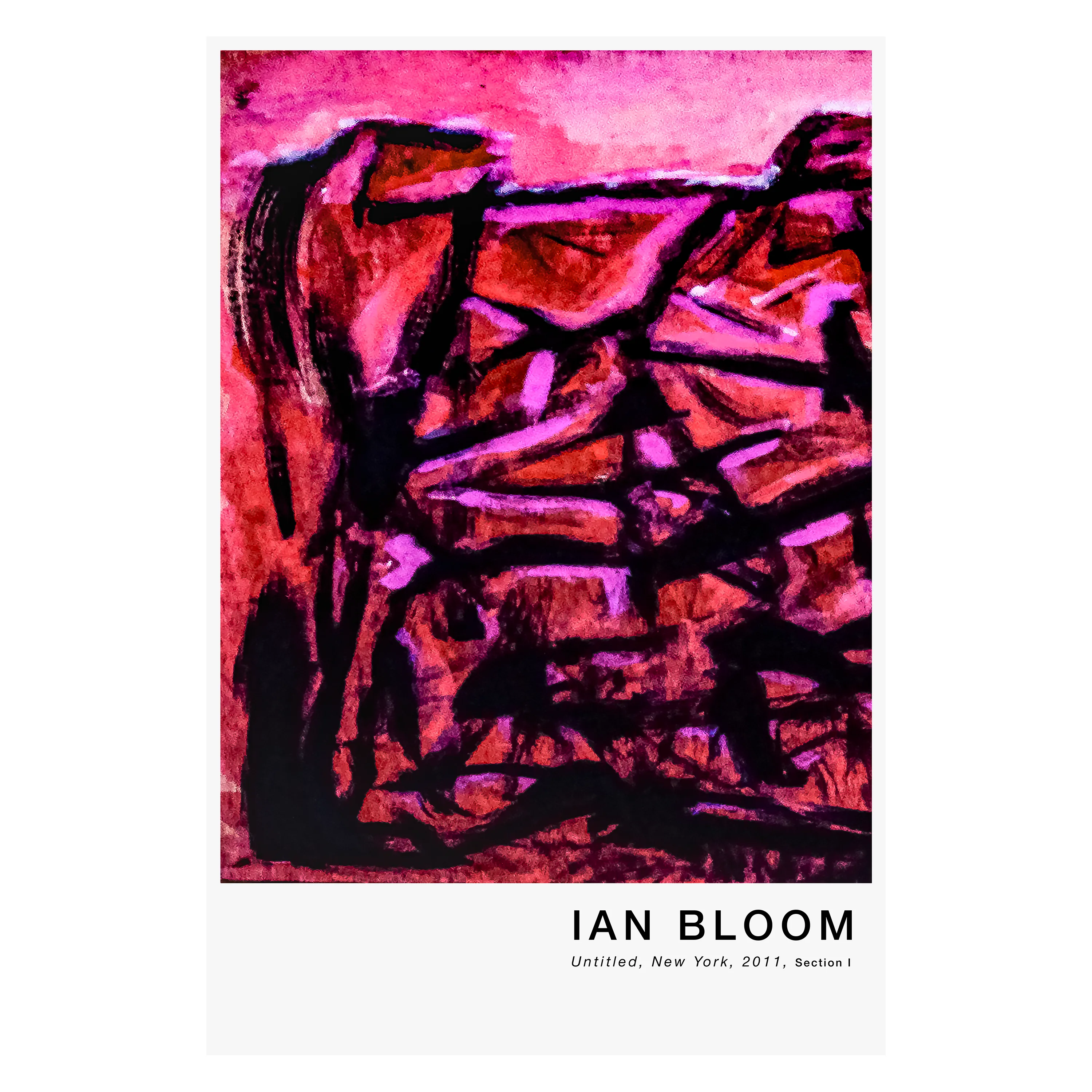 Untitled, New York, 2011, Section I poster by Ian Bloom