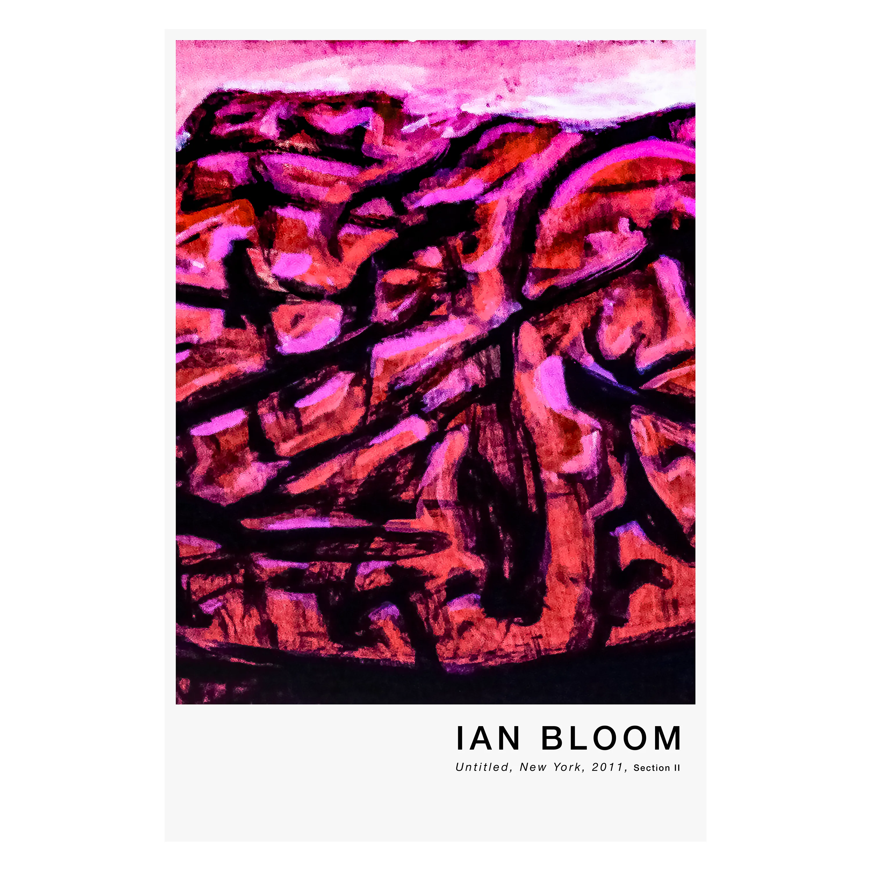 Untitled, New York, 2011, Section II poster by Ian Bloom