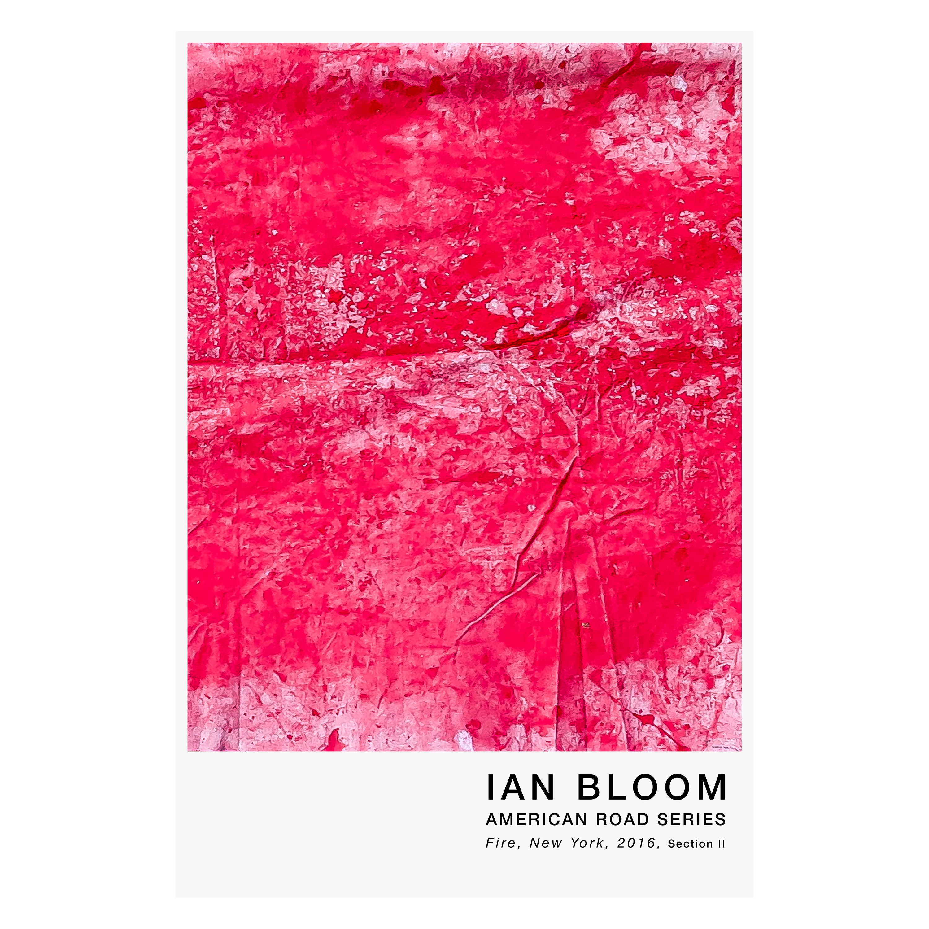 Fire, New York, 2016, Section II poster by Ian Bloom