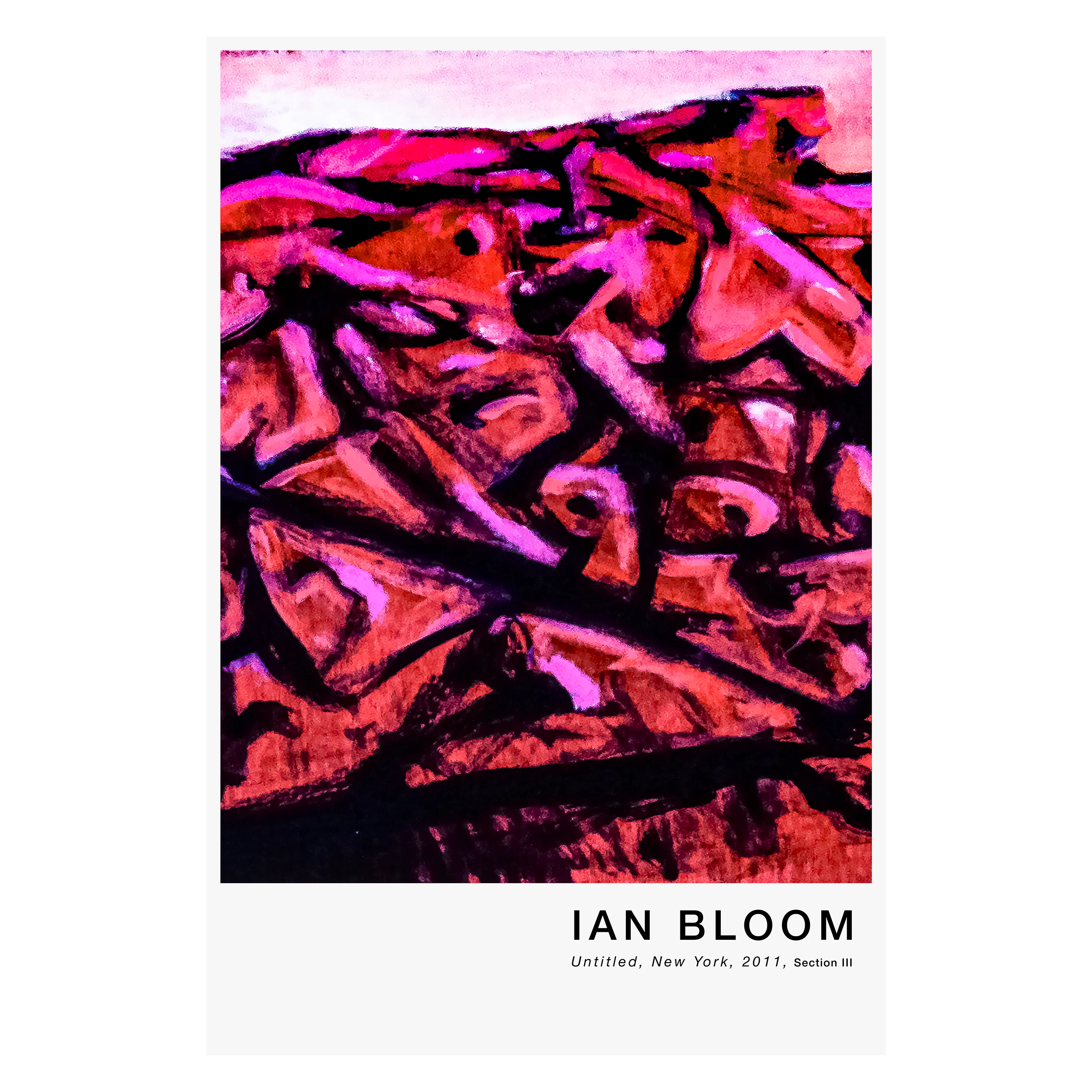 Untitled, New York, 2011, Section III poster by Ian Bloom