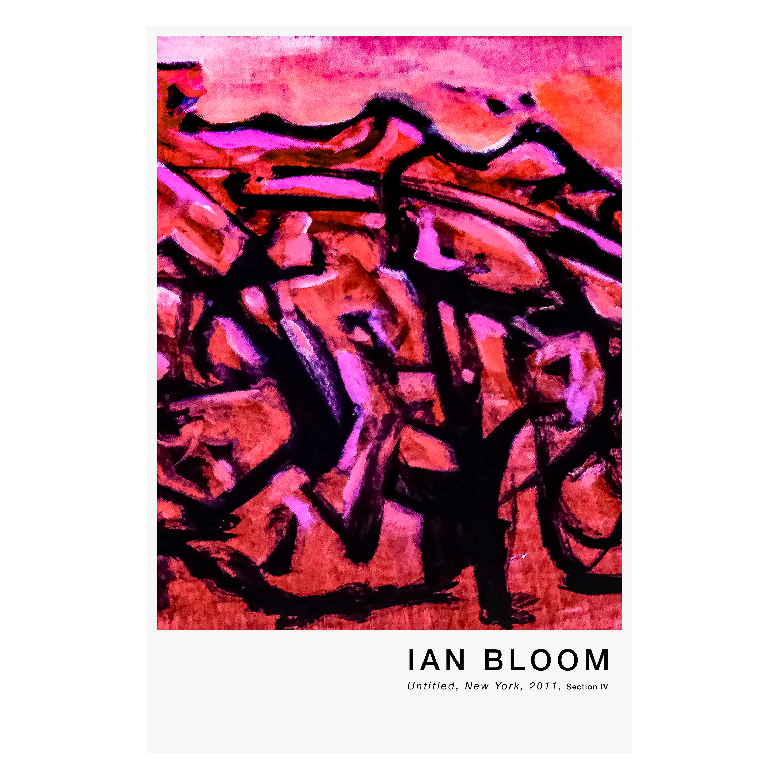 Untitled, New York, 2011, Section IV poster by Ian Bloom