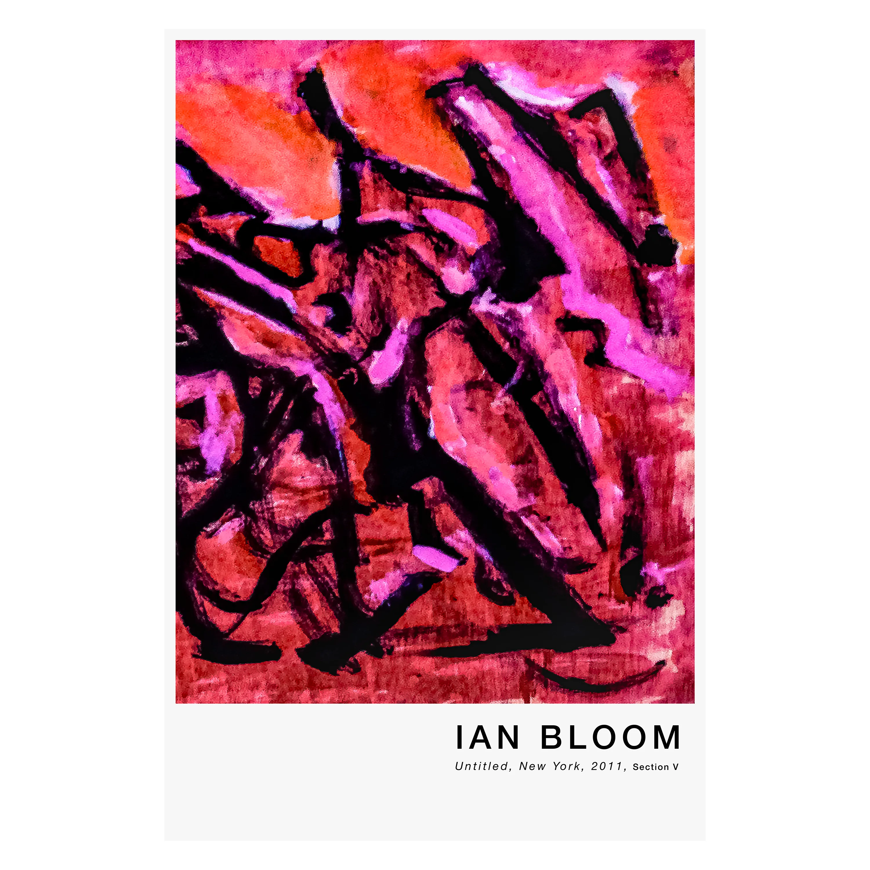 Untitled, New York, 2011, Section V poster by Ian Bloom