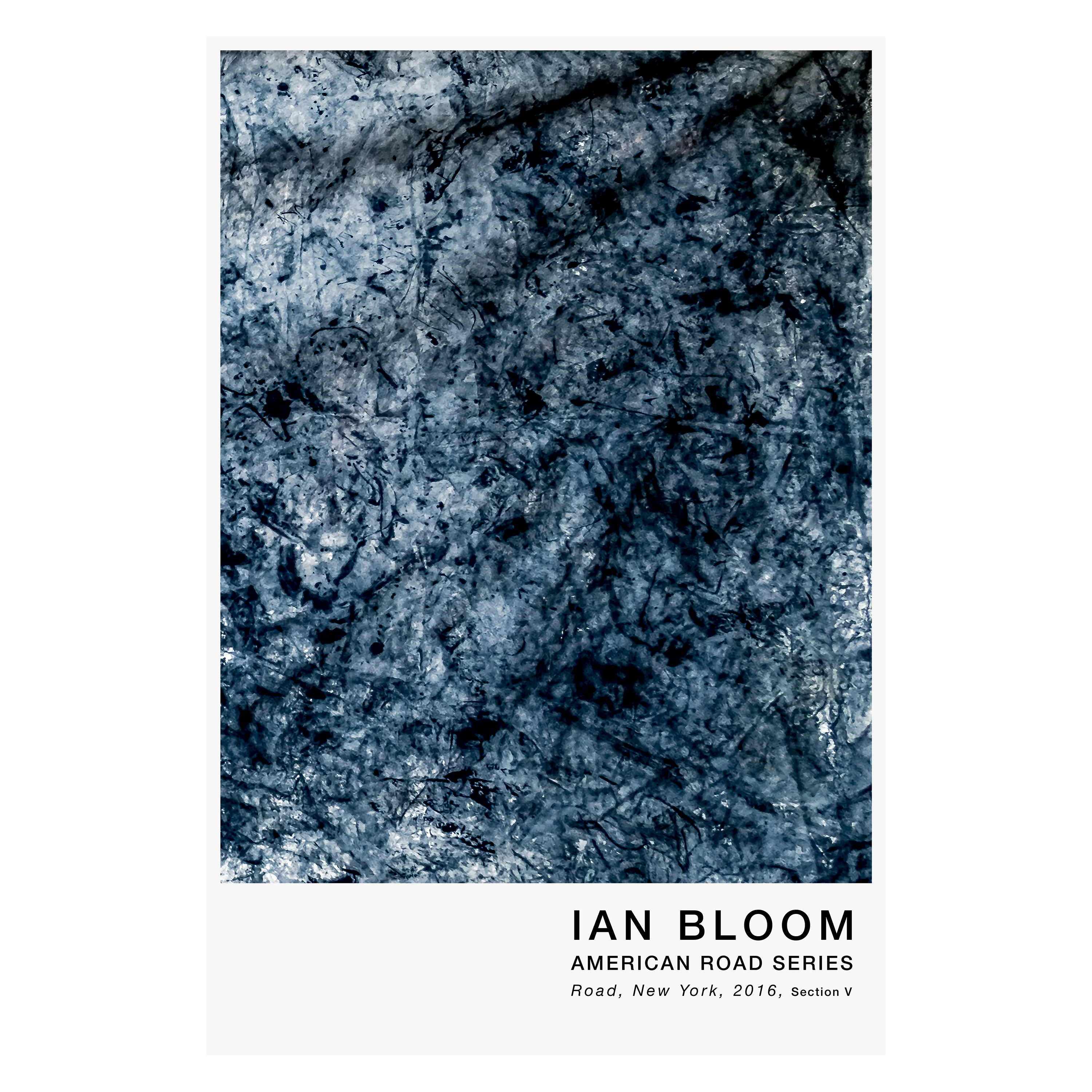 Road, New York, 2016, Section V poster by Ian Bloom